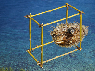 Неможлива пастка