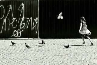 Вільний політ