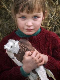 Девочка и голубь