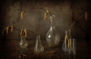 Весняні грози