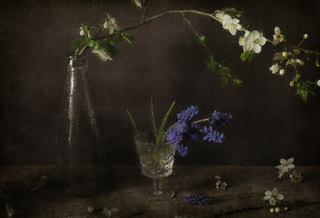 Настрій в краплях дощу