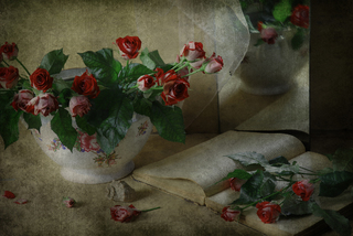 Трояндові чари