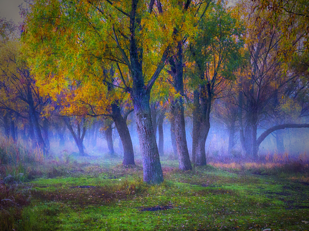 ГОЛУБОЙ РАССВЕТ