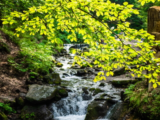 Водоспад Шипіт