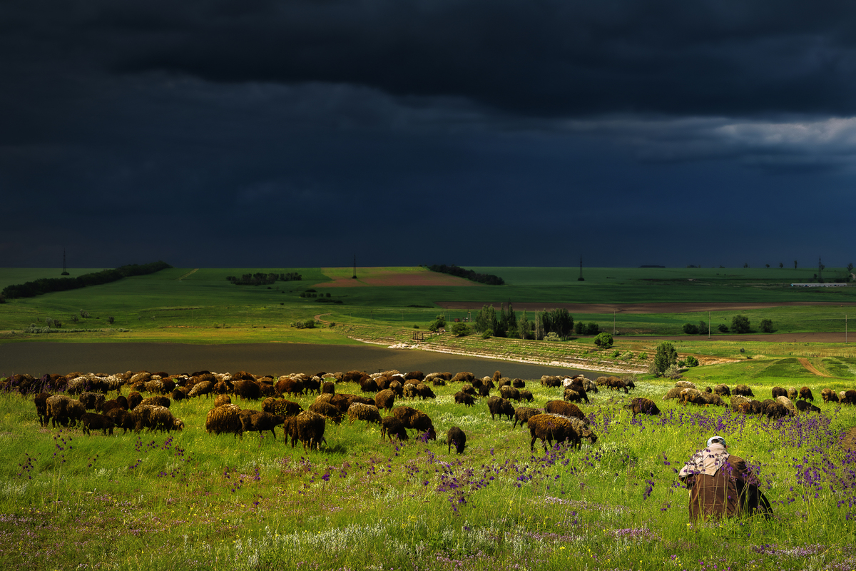 Чудовий прогноз