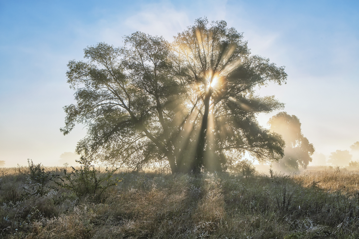Магія світанку
