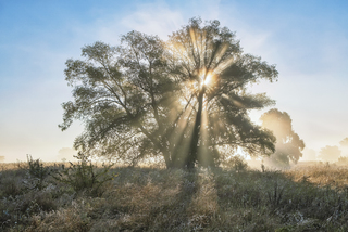 Магія світанку