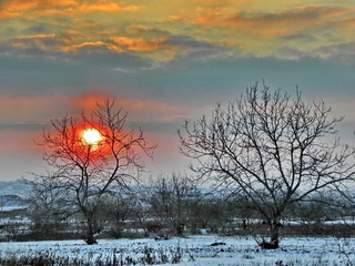 Сонце гніздечко звило..