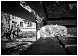 Весняні сняться сни