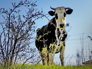 Ви з міста приїхали?