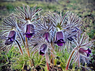 Сонце вже зайшло..