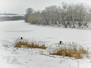 Зимова риболовля на Південному Бузі