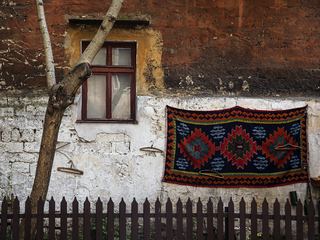 Палісадник