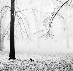 осінь тиха і трохи сумна