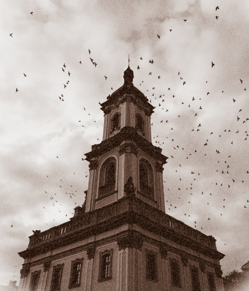 Бучач.Ратуша