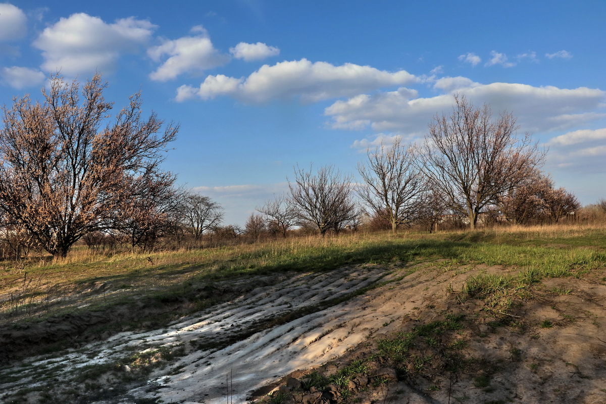 Шрами землю не прикрашають.