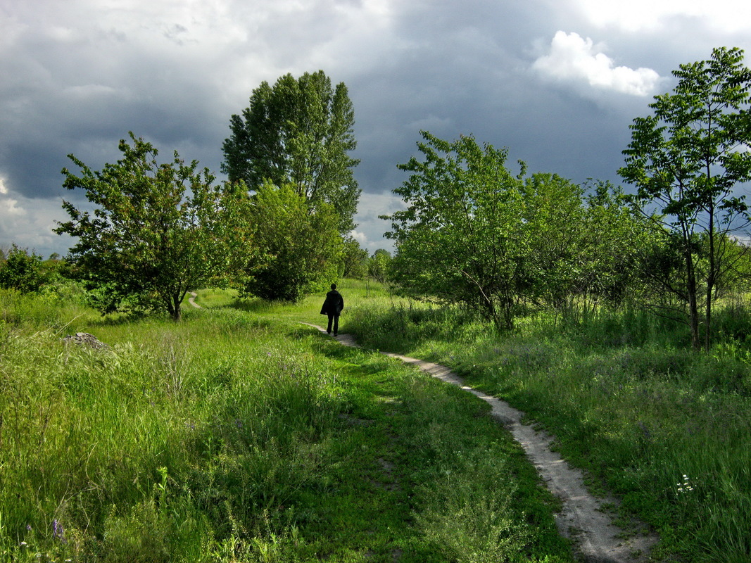 Прогулянка перед негодою.