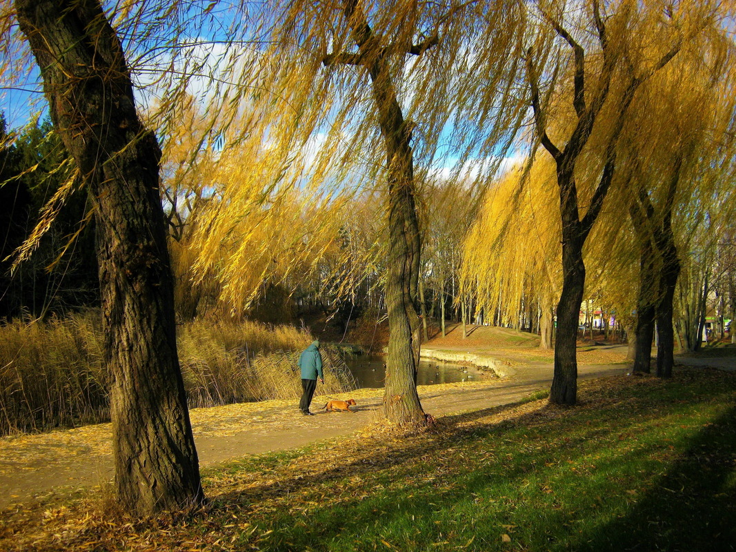 Ллється чиста блакить  на теплі фарби землі.