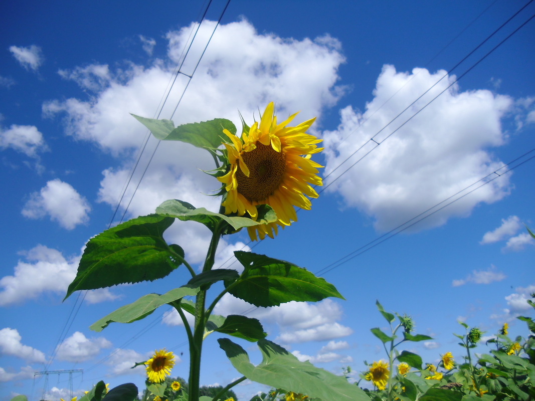 Під хмарами.