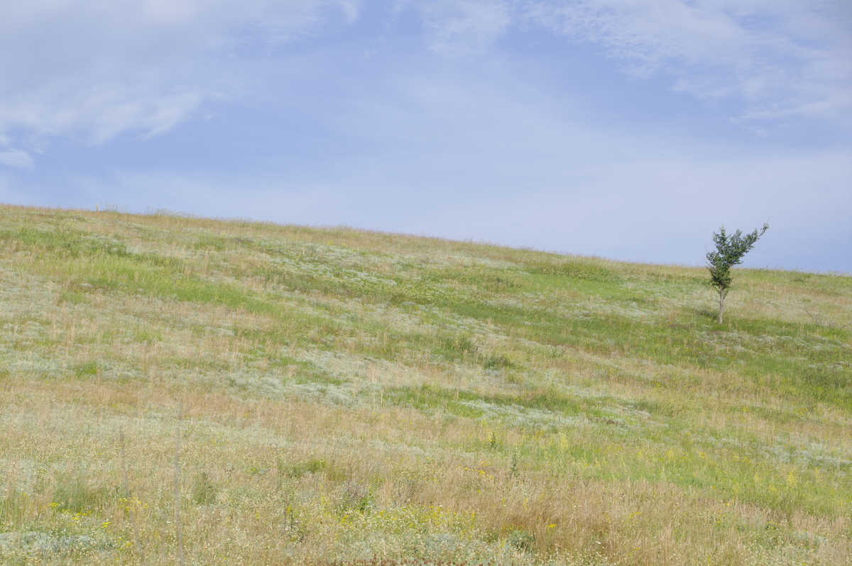 Харківщина