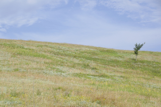 Харківщина