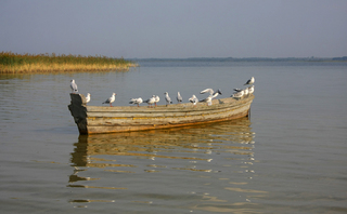 Перші пасажири..