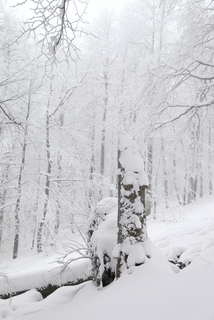 Після снігопаду