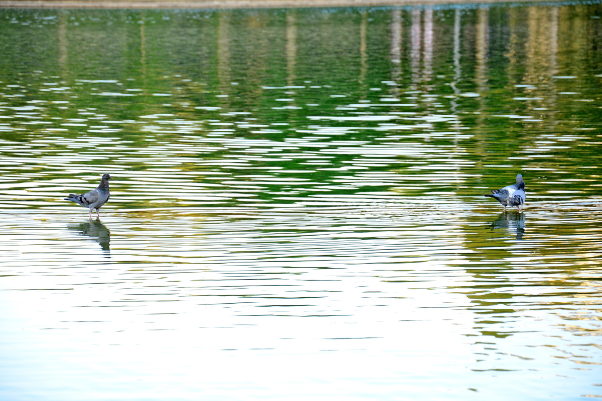 синий озера  