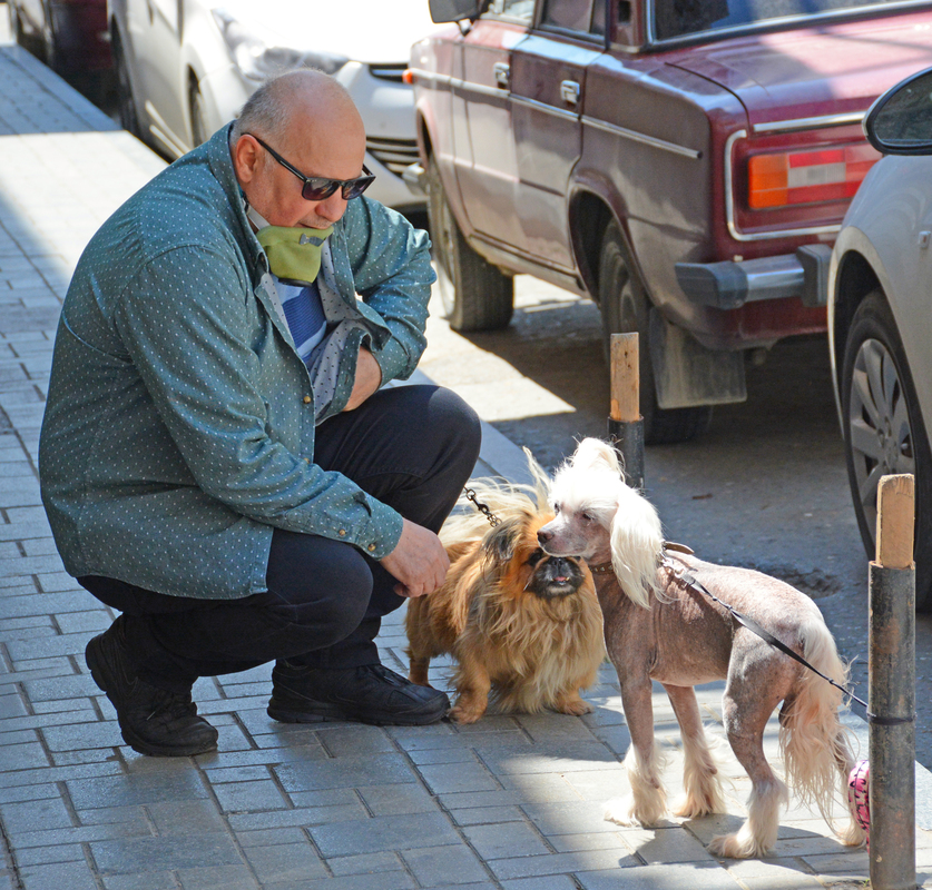 заботиться о животном