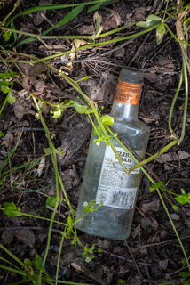 Ядохимикат