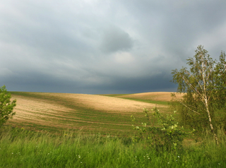 Перед бурею