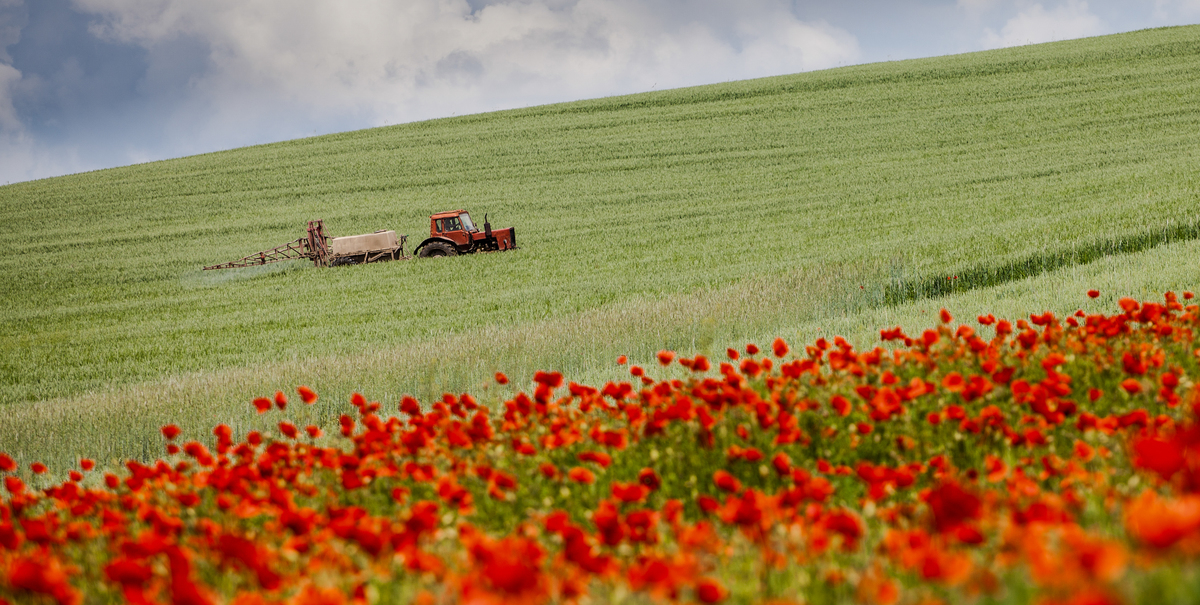 Механічна складова