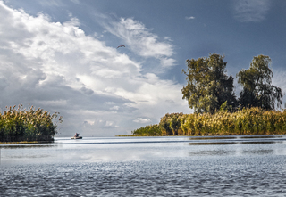 Днепровские протоки