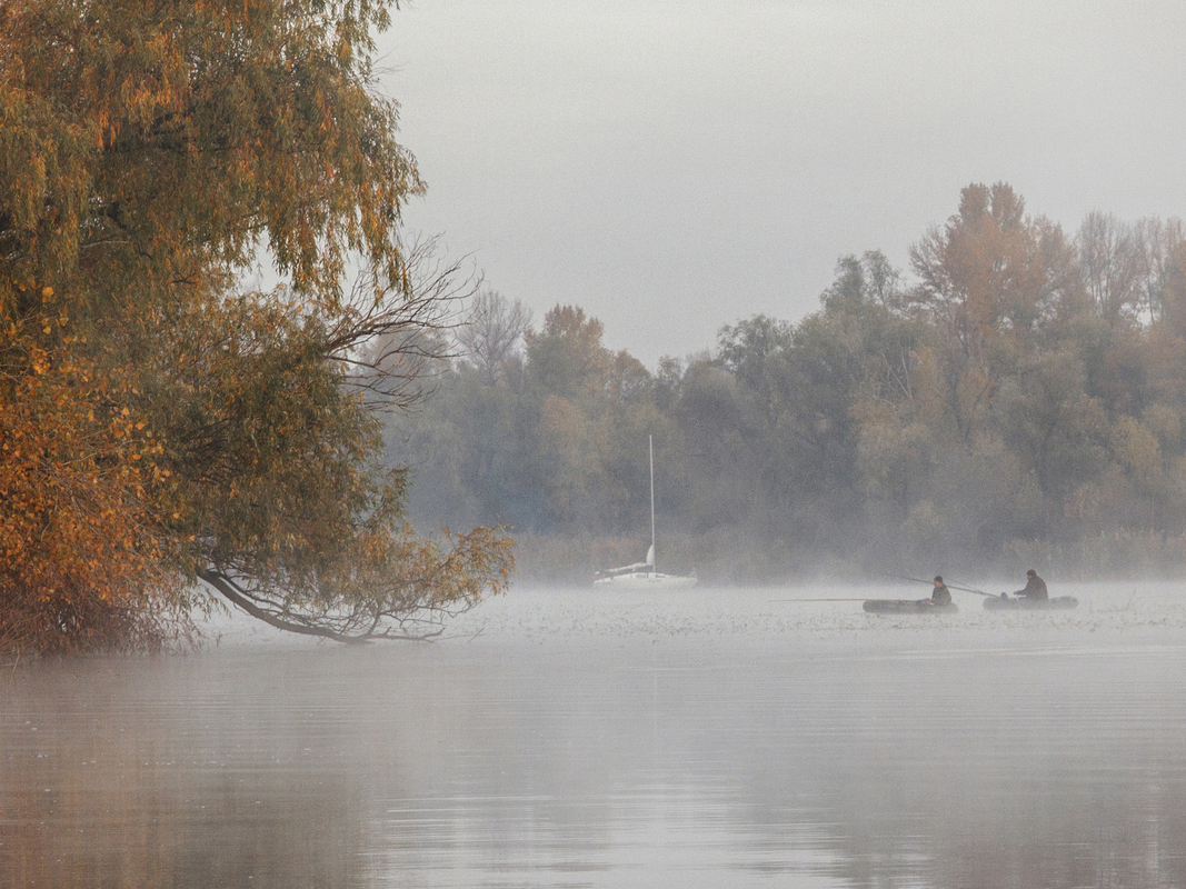 Утренняя зорька