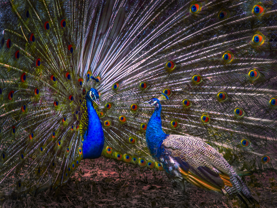 Всё для тебя