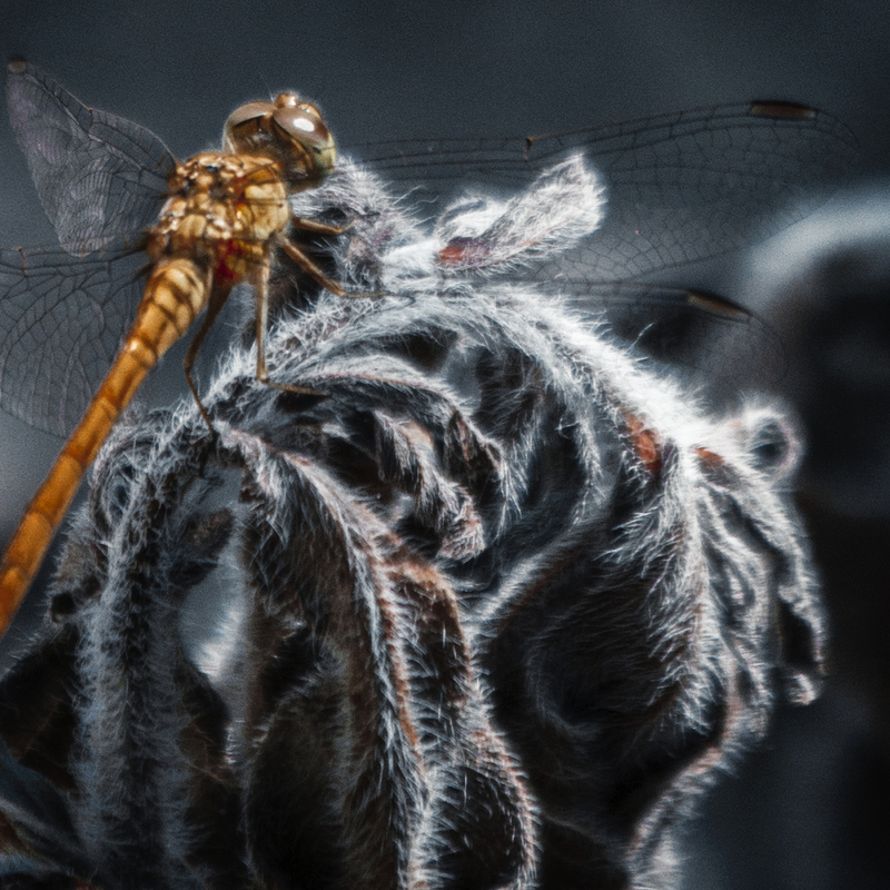 На волнах бархатного лета