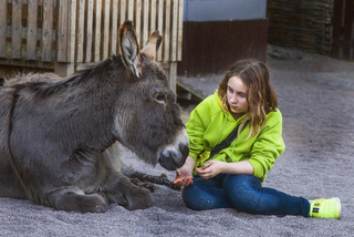 Лучший друг