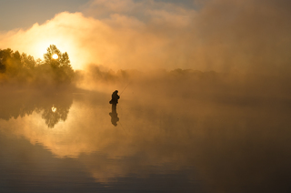 Золотий світанок