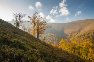 Сонце і тінь