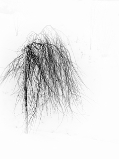 Зимовий пейзаж