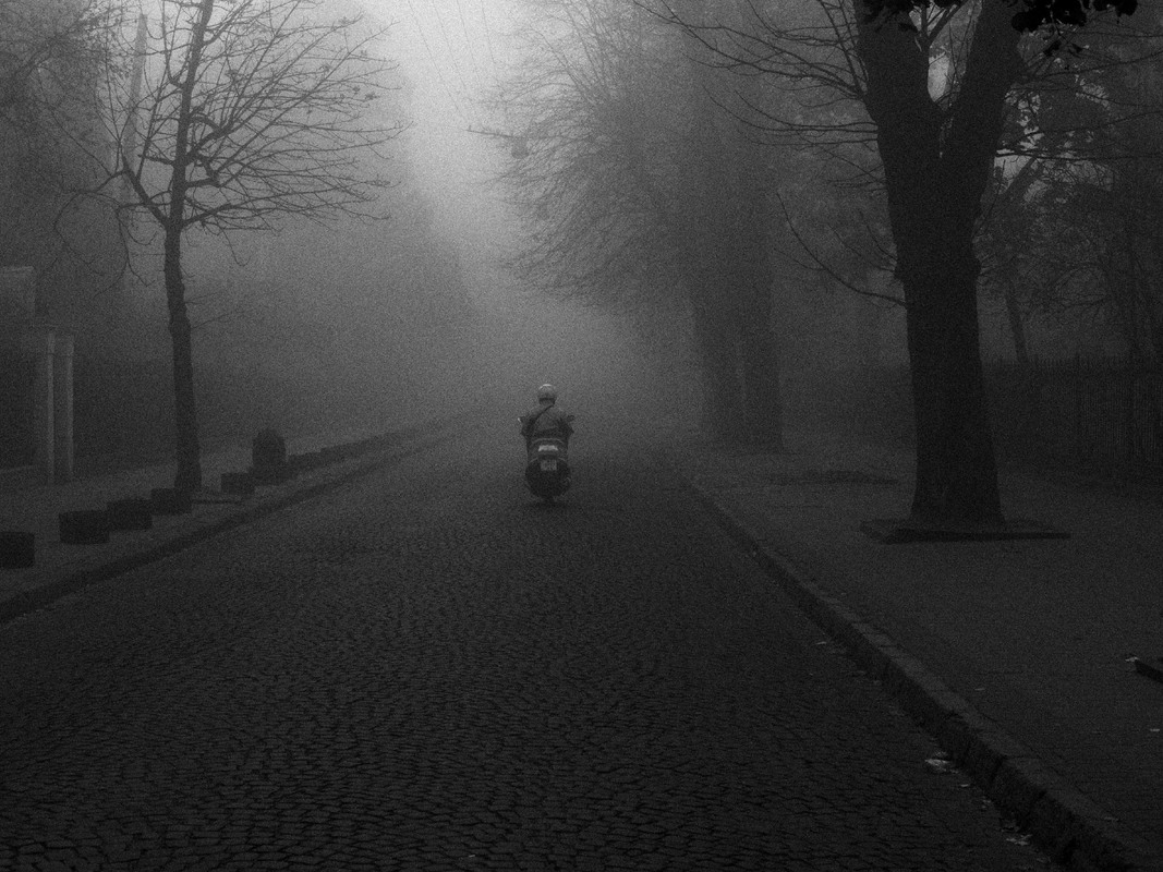 Туманний вершник