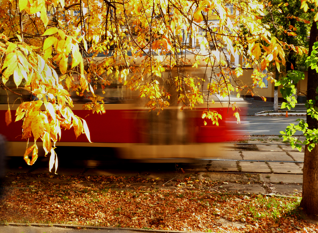 Осінь у місті