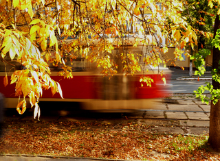 Осінь у місті