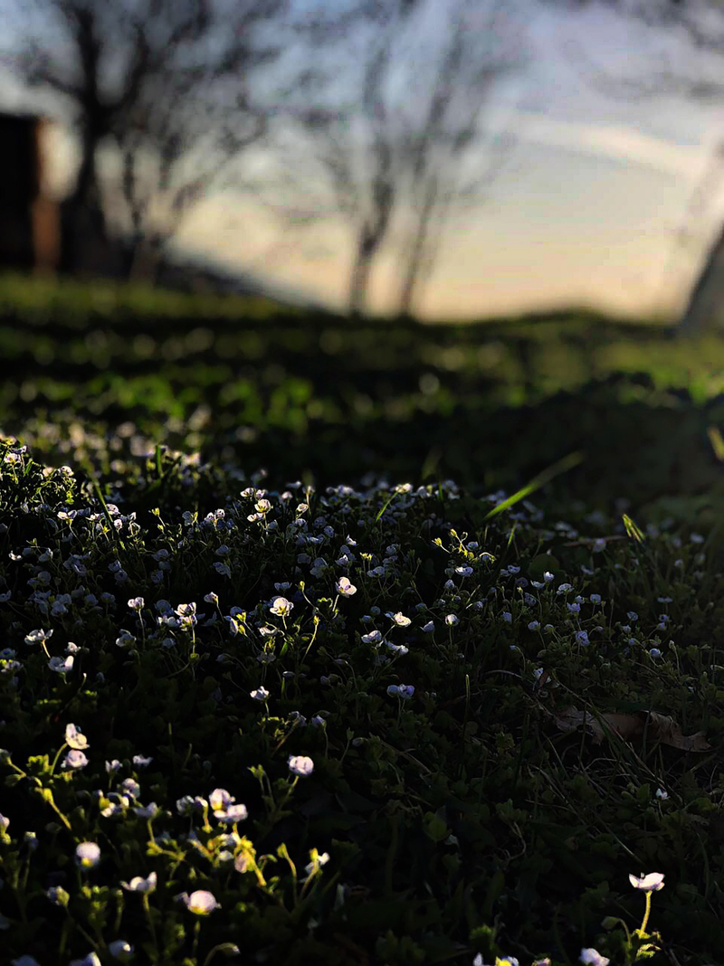 Пробудження