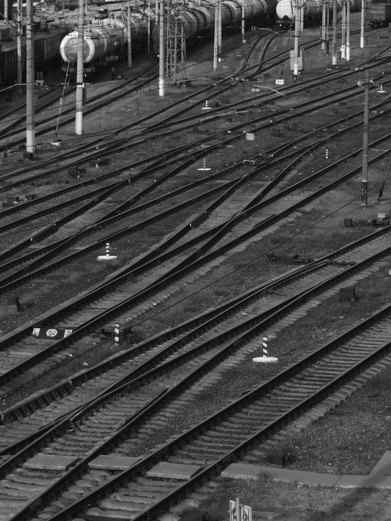 Лінії життя / Lines of life
