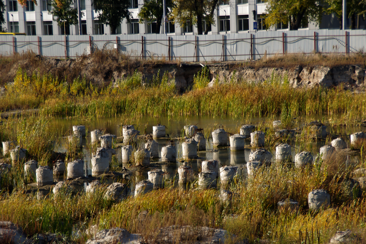 «Природа, що бере своє...» 