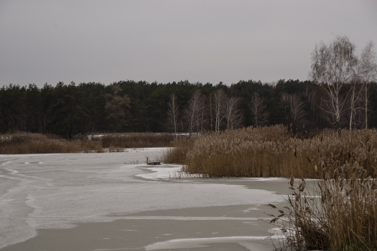 Зима. Ровжі