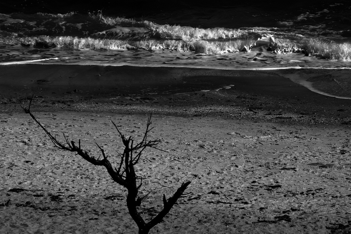 Протистояння