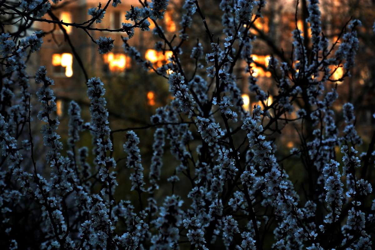 Тривожна весна