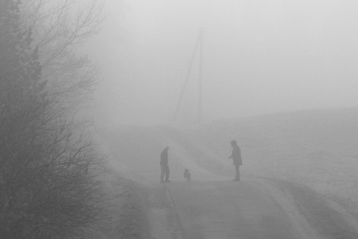 Ранкова прогулянка  1